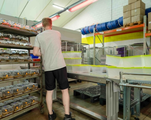 Studium przypadku klienta Biobest